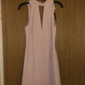 Express Light Pink-Black Dress